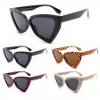 Paris Collection Fashion Sunglasses 3 Styles Asst. PA115/6/7