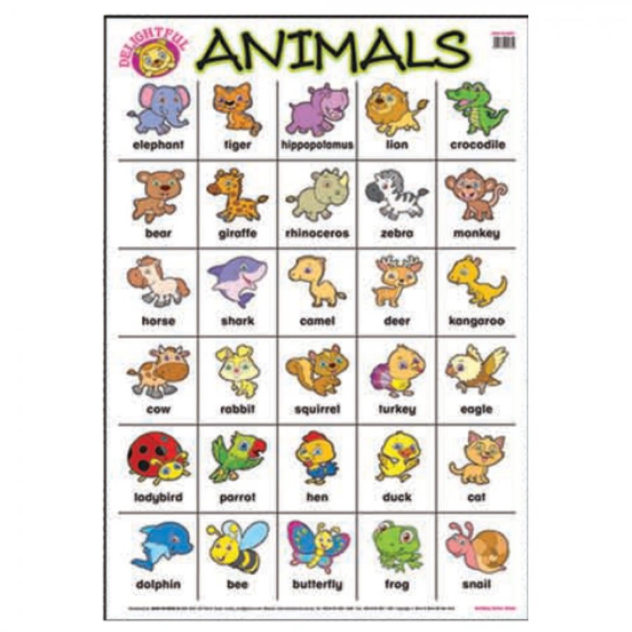 Animals - Educational Chart (MM00624)