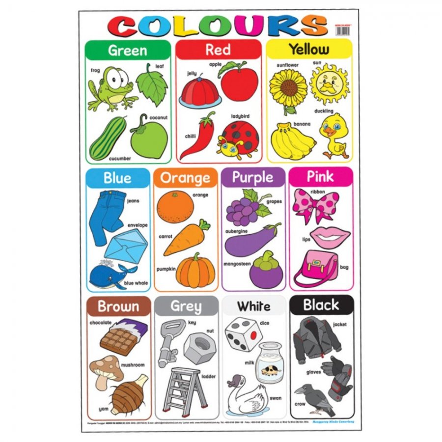 Colours - Educational Chart (MM01270)