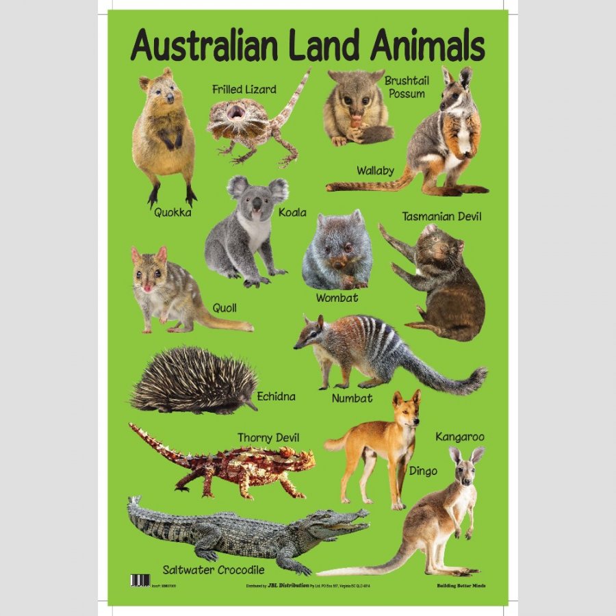 Australian Land Animals - Educational Chart (MM07009)