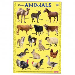 Farm Animals - Educational Chart (MM14881)  Farm Animals - Educational Chart (MM14881)