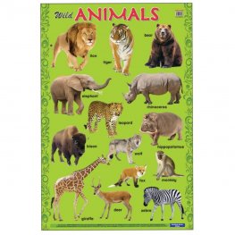 Wild Animals - Educational Chart (MM14898)  Wild Animals - Educational Chart (MM14898)