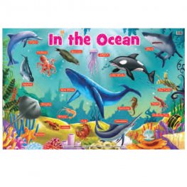In the Ocean - Educational Chart (MM25003)  In the Ocean - Educational Chart (MM25003)