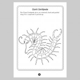 Australian CREATURES Colour and Learn MM50654