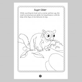 Australian ANIMALS Colour and Learn MM50678