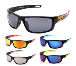 Swisssport Sunglasses - Gold Tag SW282  Swisssport Sunglasses - Gold Tag SW282