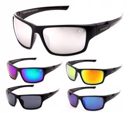 Swisssport Sunglasses - Gold Tag SW287  Swisssport Sunglasses - Gold Tag SW287